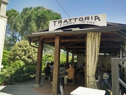 Trattoria antico forno - Ristoranti,Ristoranti - trattorie ed osterie,Ristoranti specializzati - carne - Bagno a Ripoli (Firenze)