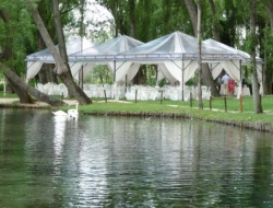 Fonti del clitunno - Bar e caffè,Parchi e riserve naturali,Ristoranti - Campello sul Clitunno (Perugia)