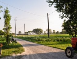 Dall'argine snc - Lavori agricoli e forestali - Gonzaga (Mantova)