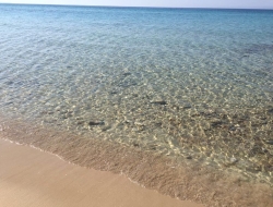 Elios & primiceri travel srl - Agenzie viaggi e turismo,Agenzie viaggio e turismo - Ugento (Lecce)
