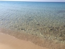 Elios & primiceri travel srl - Agenzie viaggi e turismo,Agenzie viaggio e turismo - Ugento (Lecce)