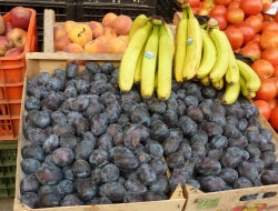 Il cesto delle primizie di d''alessi mario - Frutta e verdura - Foligno (Perugia)