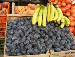 Il cesto delle primizie di d''alessi mario - Frutta e verdura - Foligno (Perugia)