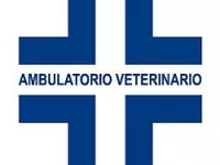 Ambulatorio veterinario la fenice veterinaria ambulatori e laboratori