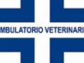 Opinioni degli utenti su Ambulatorio Veterinario La Fenice