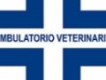 Opinioni degli utenti su Ambulatorio Veterinario La Fenice