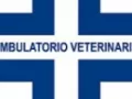Opinioni degli utenti su Ambulatorio Veterinario La Fenice