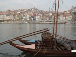 Ciuciolo srl - Porti, darsene e servizi portuali - Piano di Sorrento (Napoli)