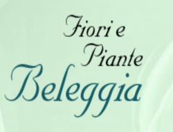 Beleggia sandro fioraio - Vivai piante e fiori - Montegiorgio (Fermo)