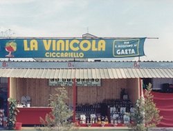 Casa vinicola ciccariello srl - Enoteche e vendita vini,Vini e spumanti - produzione e ingrosso - Gaeta (Latina)