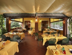 Ristorante da pellegrino - Ristoranti - Montecatini-Terme (Pistoia)