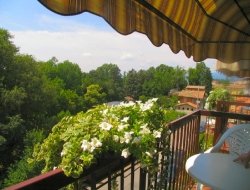 Hotel benacus - Hotel - Bardolino (Verona)