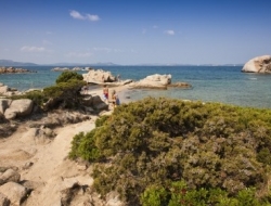 Hotel pulicinu - Alberghi - Olbia (Olbia-Tempio)