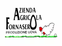 Azienda agricola fornasero bruno - produzione uova uova