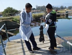 Cooperativa pescatori tortoli - Pescherie - Tortolì (Nuoro)