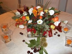 Arte & fiori - firenze - Fiorai - Firenze (Firenze)