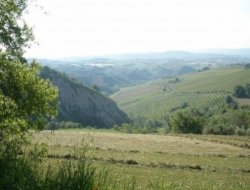 Tenuta de angelis - Vini e spumanti - produzione e ingrosso - Castel di Lama (Ascoli Piceno)