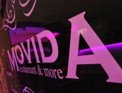 Wine restaurant movida - Ristoranti - Alba (Cuneo)