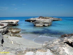 Hobby foto - Fotografia - servizi, studi, sviluppo e stampa - Carovigno (Brindisi)