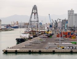 G-panessa-co - Agenzie marittime,Porti, darsene e servizi portuali,Spedizioni internazionali - Livorno (Livorno)