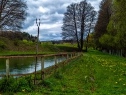 Foto santopietro di marco santopietro - Fotografia - servizi, studi, sviluppo e stampa,Fotoincisioni - Orvieto (Terni)