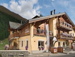 Amerikan s.n.c. di cusini giuseppe e c. - Alberghi,Hotel - Livigno (Sondrio)