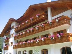 Albergo bellaria sas di bertoldi fabrizio & c. - Hotel - Lavarone (Trento)