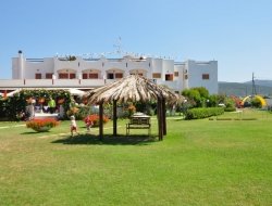 Hotel portofina - Alberghi,Bar e caffè,Ristoranti - Santa Marinella (Roma)