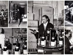 Cordara vini azienda vitivinicola - Vini e spumanti - produzione e ingrosso - Castel Boglione (Asti)