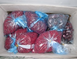 Argogel - Alimenti surgelati - produzione e ingrosso - San Vendemiano (Treviso)