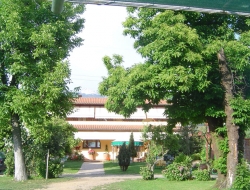 Bed & breakfast la casa gialla - Bed & breakfast - Montignoso (Massa-Carrara)