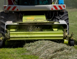 Azienda agricola - Aziende agricole e zootecniche - Villorba (Treviso)