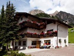 Haus erica - Alberghi - Bolzano (Bolzano)