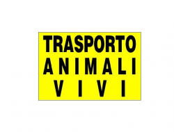 Melano antonio snc - Trasporti - Castagnole Piemonte (Torino)