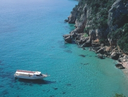 Nuovo consorzio trasporti marittimi cala gonone - Agenzie marittime,Navigazione marittima,Trasporti - Dorgali (Nuoro)