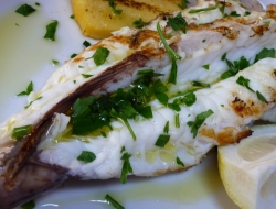 Gastronomica sicula societa' cooperativa - Ristoranti specializzati - pesce - Falcone (Messina)