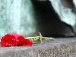 Agenzia funebre rosati - Onoranze funebri - Guidonia Montecelio (Roma)