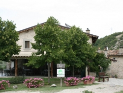 Agriturismo pian d'angelo - Agriturismo - Bagno di Romagna (Forlì-Cesena)