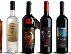 Casa vinicola crisera' s.r.l. - Vini e spumanti - produzione e ingrosso - Reggio Calabria (Reggio Calabria)