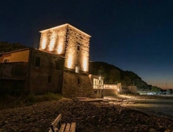 Ristorante canessa - Ristoranti - Piombino (Livorno)