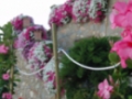 Opinioni degli utenti su Agriturismo Eden Green