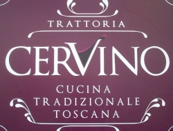 Trattoria cervino - Ristoranti - trattorie ed osterie - Pistoia (Pistoia)