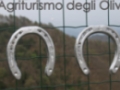 Opinioni degli utenti su Agriturismo degli Olivi