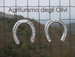 Agriturismo degli olivi - Agriturismo - Levanto (La Spezia)