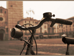 Associazione di promozione sociale ruota libera bike factory - Biciclette - vendita e riparazione - Rovereto (Trento)