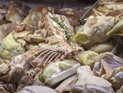 Macelleria di oreto gianfranco e teofrasti snc - Macellerie - Todi (Perugia)