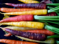 Girino giuseppe s.r.l. frutta e verdura