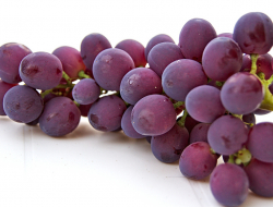 Cantina venzona - Azienda agricola,Enoteche e vendita vini - Latisana (Udine)