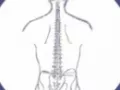 Opinioni degli utenti su Studio Chiropratico Dr. Bini