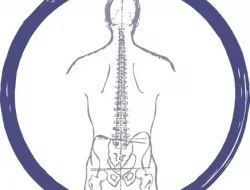 Studio chiropratico dr. bini - Chiropratica - Empoli (Firenze)